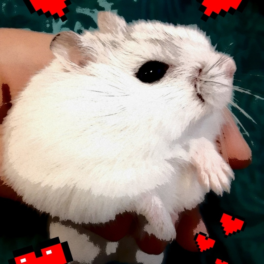 Meet your Posher, Dizhoni